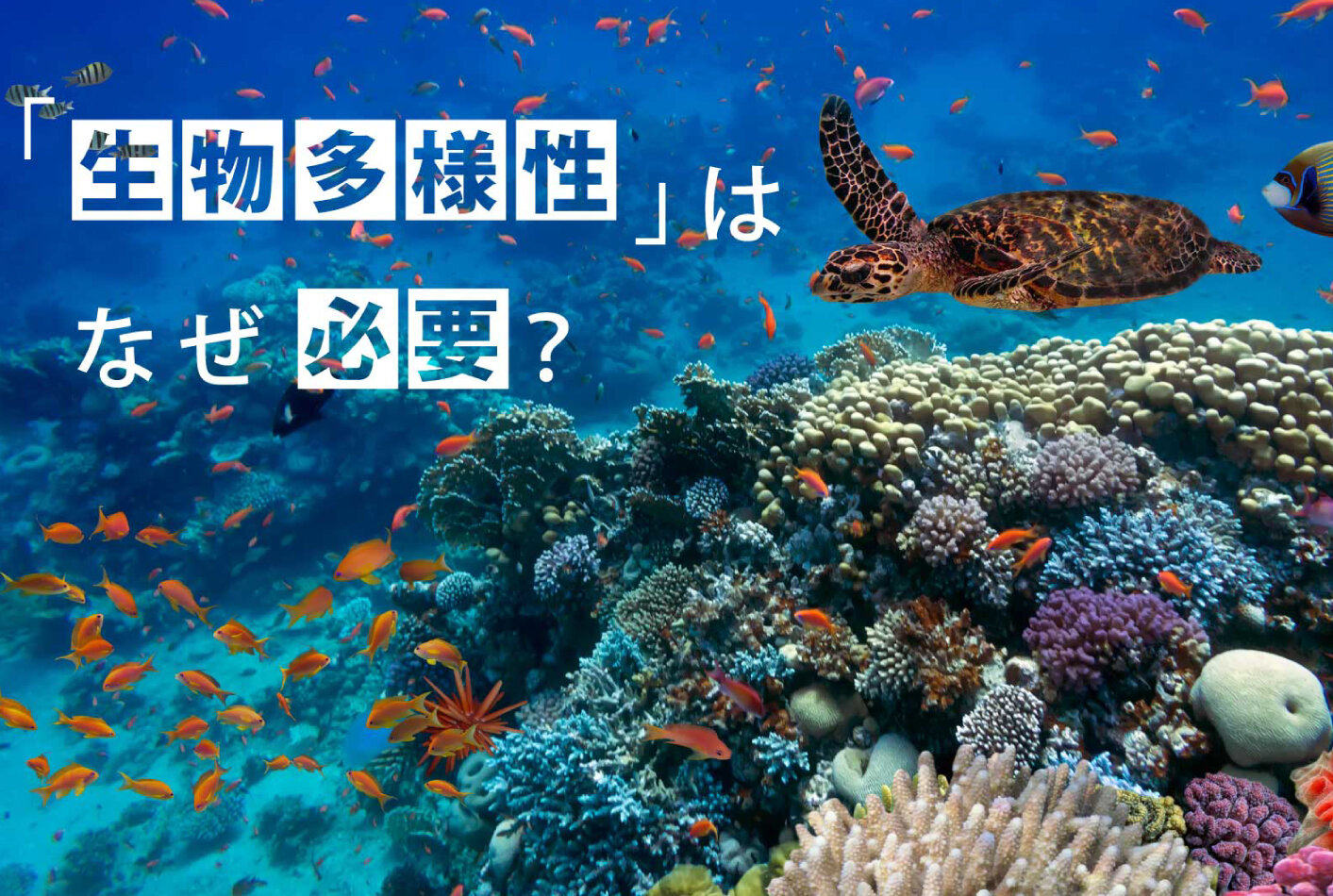 近い将来、地球上から100万種の生物がいなくなる？ ｢生物多様性｣が必要な理由