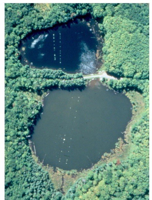 澄んだ状態の湖（上）と、藻が異常発生した湖（下） class=