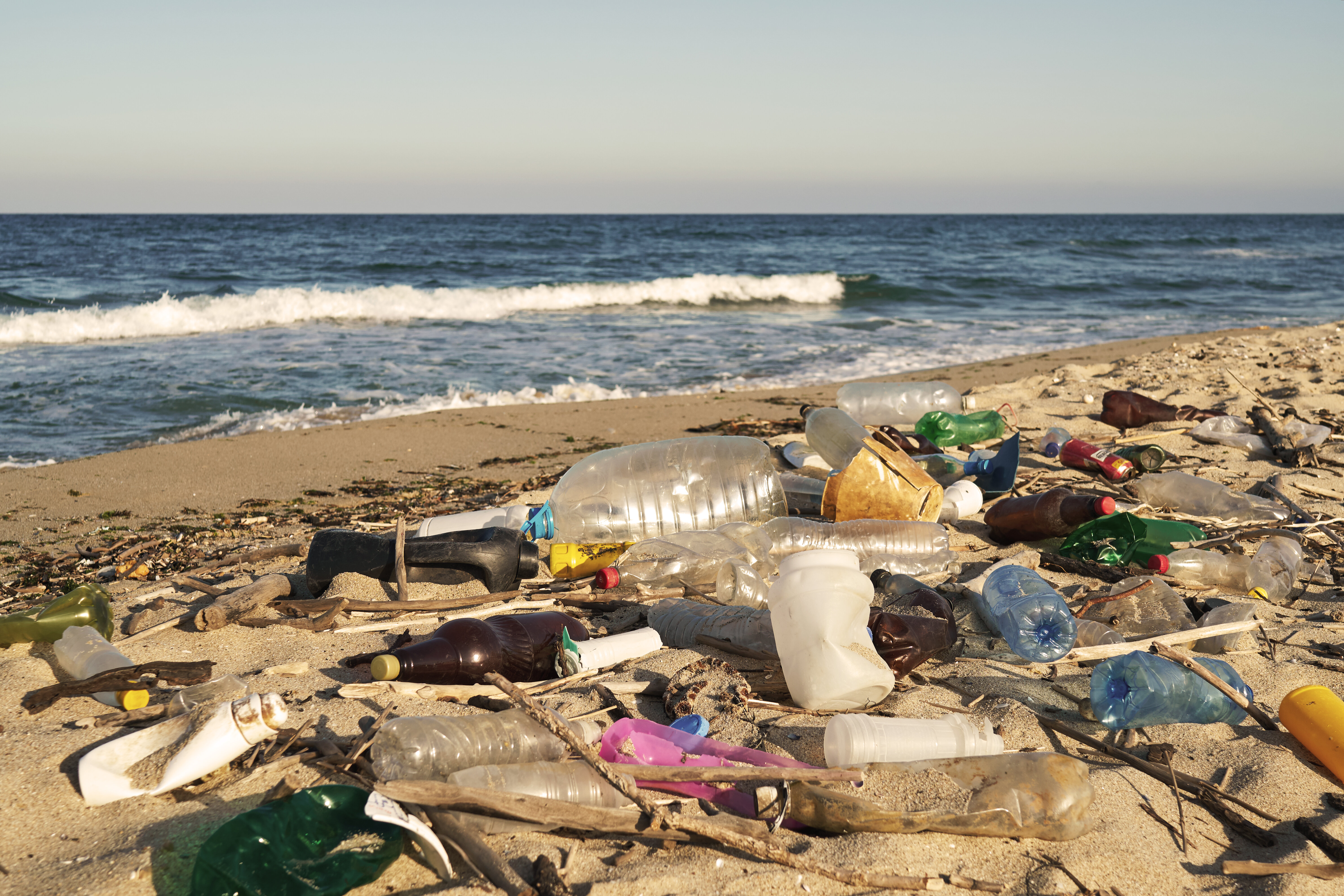 海洋プラスチックごみ