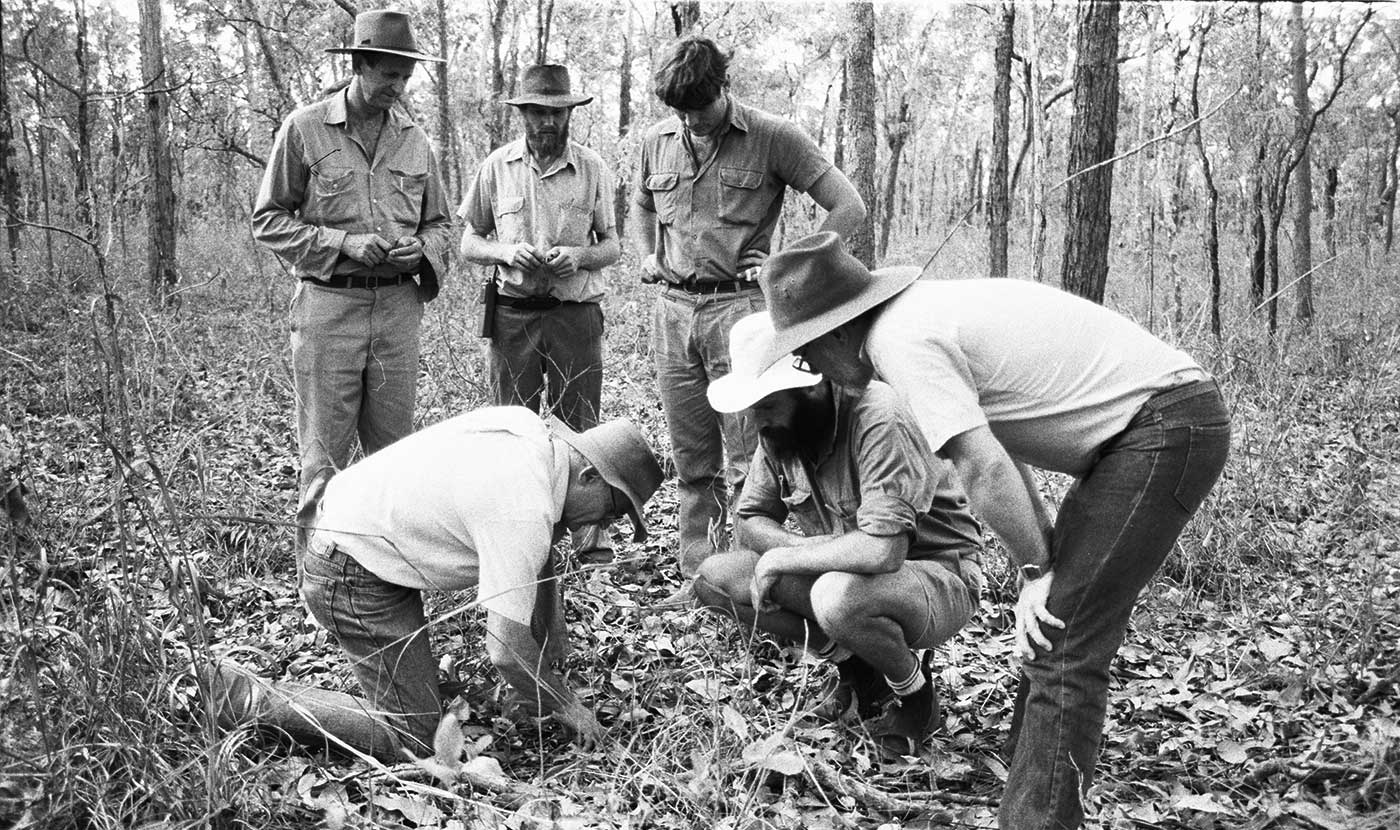 Inspecting soil surface with CSIRO scientists in a northern Australian savanna