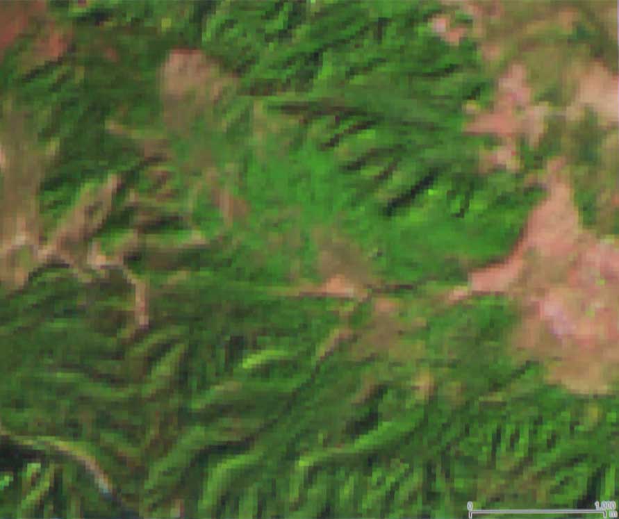 Satellite image of Bhutan