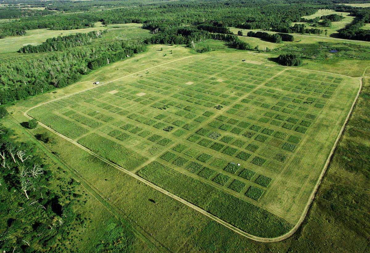 Professor Tilman's Experimental Farm