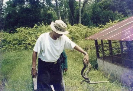 2005, Age 60. in Madagascar rainforest with snake.