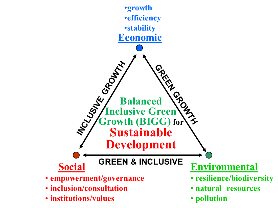 Sustainable Development Triangle